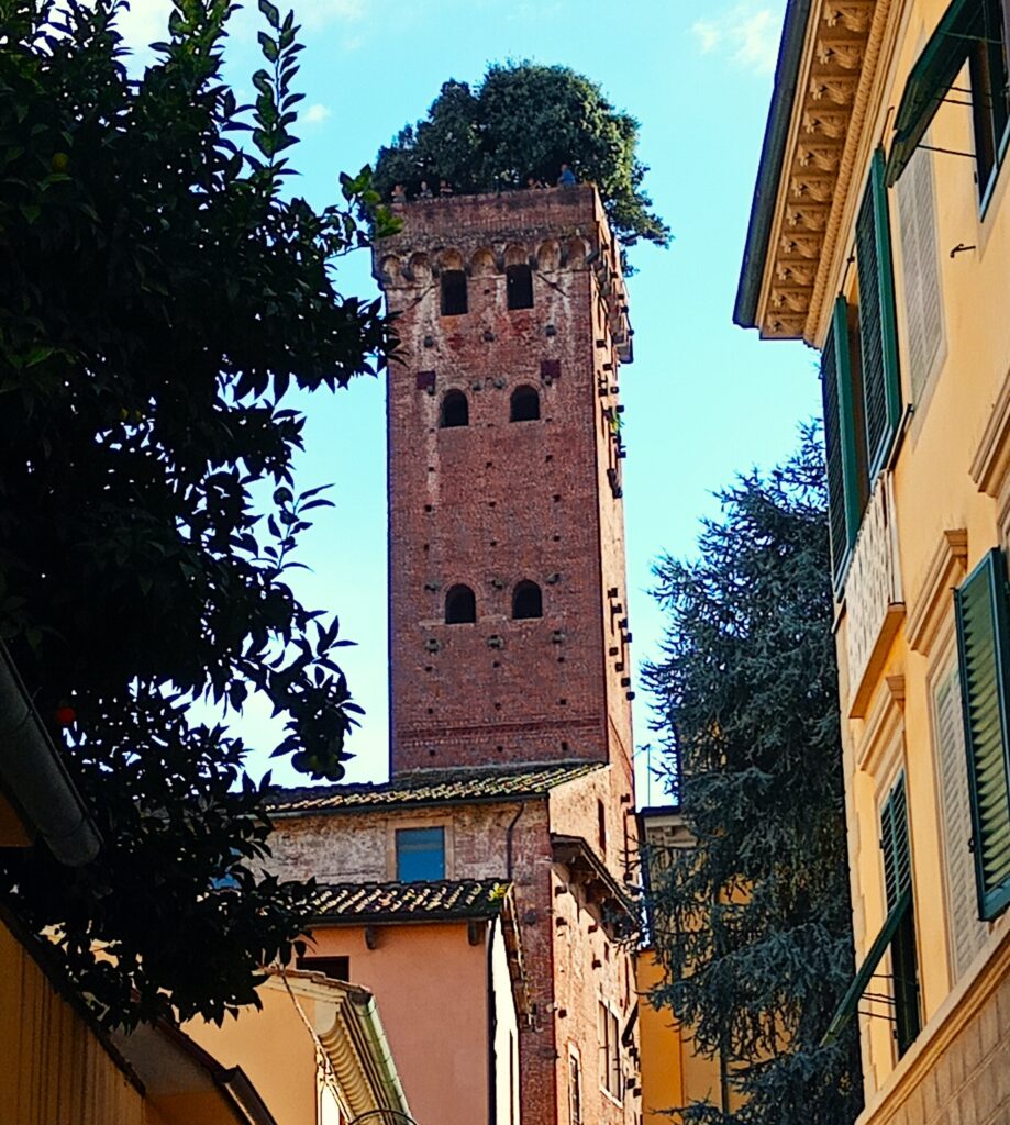 La Torre Guinigi con gli alberi in cima. la sua scalata non può mancare nella nostra visita a Lucca 