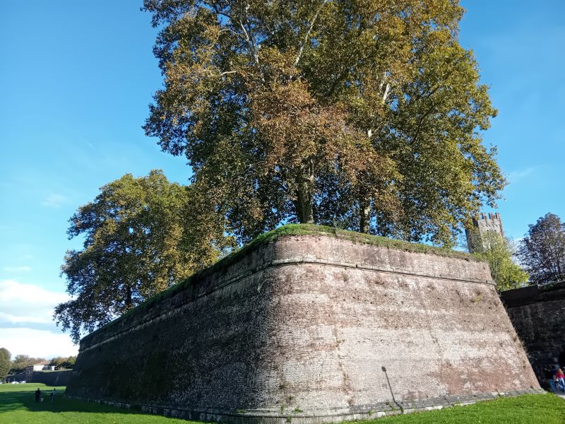 Bastione delle mura di Lucca. Una delle tappe obbligate nella visita di Lucca